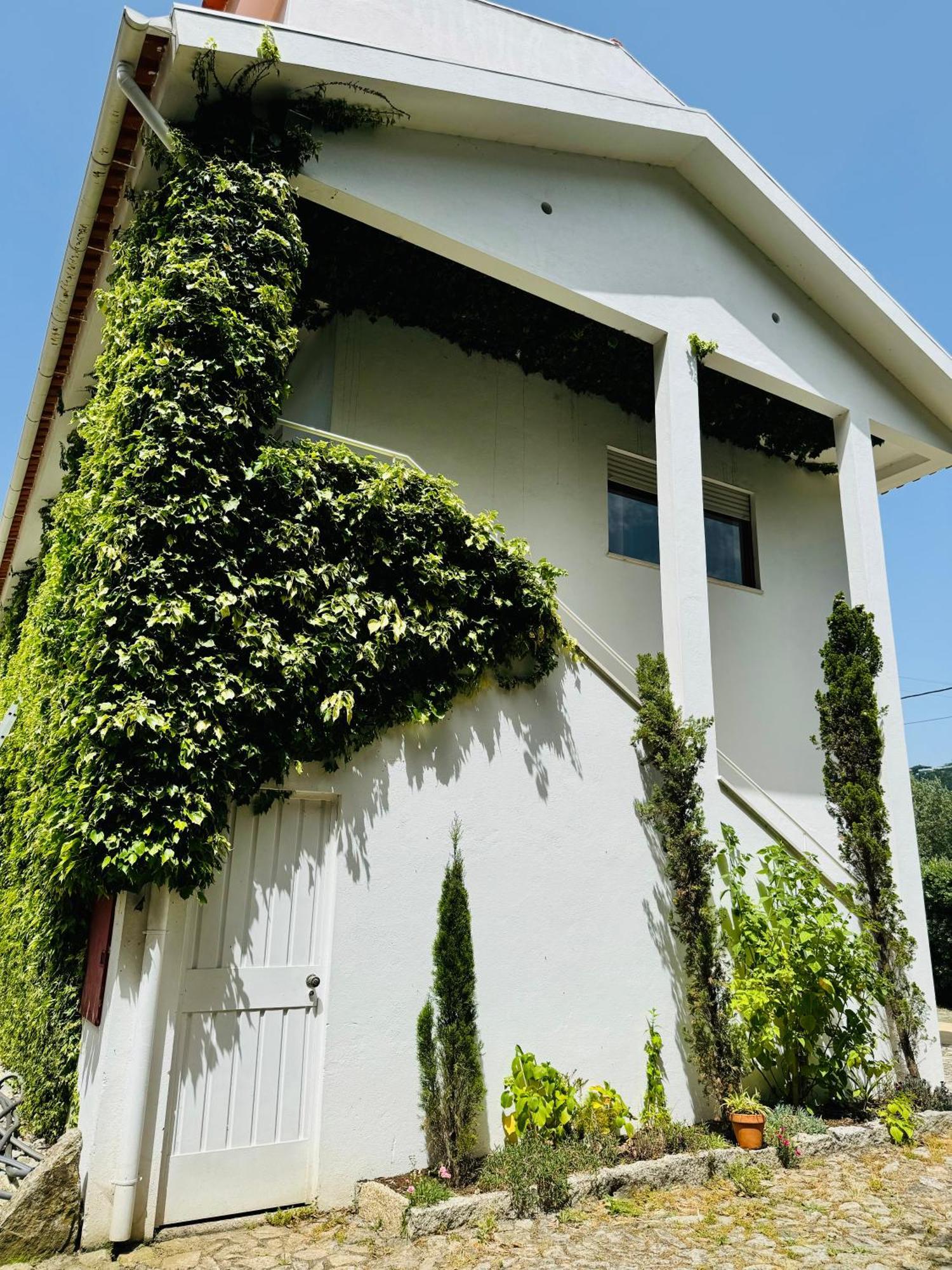 Nature & Beach Guest Rooms, Aldeamento Turistico Do Camarido Cristelo  Eksteriør billede