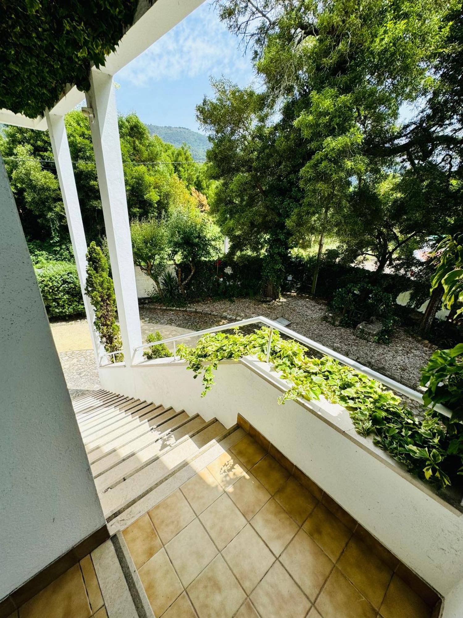 Nature & Beach Guest Rooms, Aldeamento Turistico Do Camarido Cristelo  Eksteriør billede